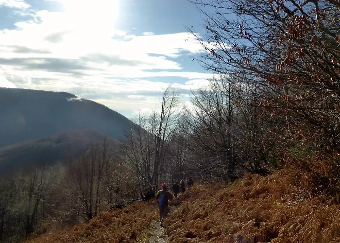 Pensionat Greco Koropi