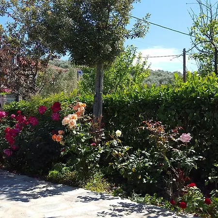 Guest house Greco